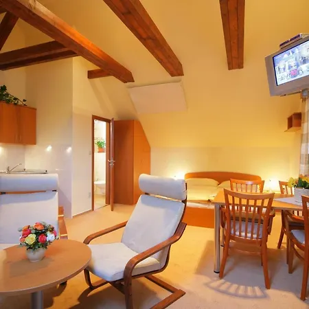 Mlyn Apartament *