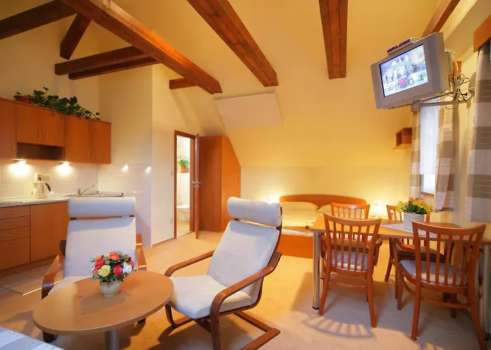 Mlyn Apartment *