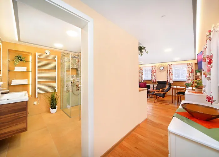 Mlyn Apartment